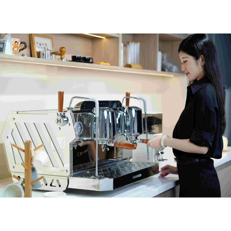 Máquina de Café Espresso Comer - Commercial Espresso Machine 2 Group reseña y precio