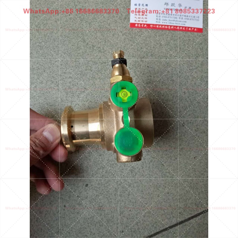 Bomba Italiana Fluid-O-Tech PA - Espresso Machine Rotary Pump reseña y precio