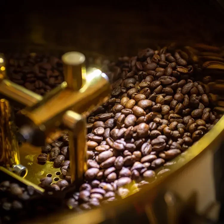 Máquina Tostadora de Café Come - Coffee Roaster Machine 1Kg reseña y precio
