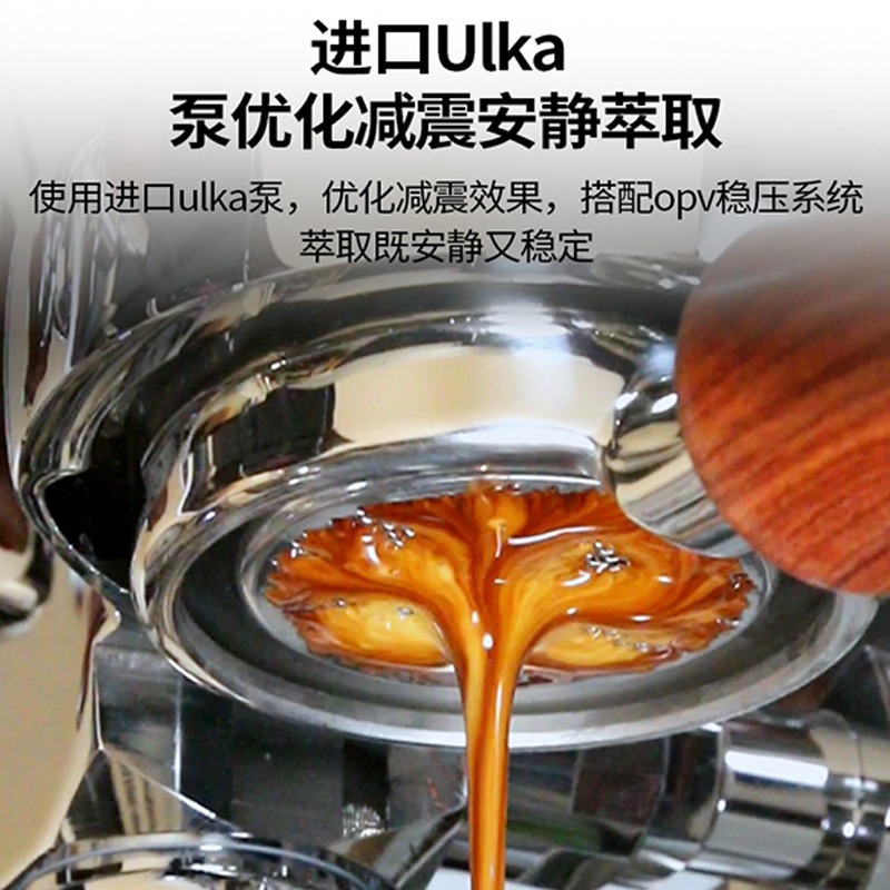 Máquina de Café Espresso Profe - Espresso Machine 1 Group E61 reseña y precio