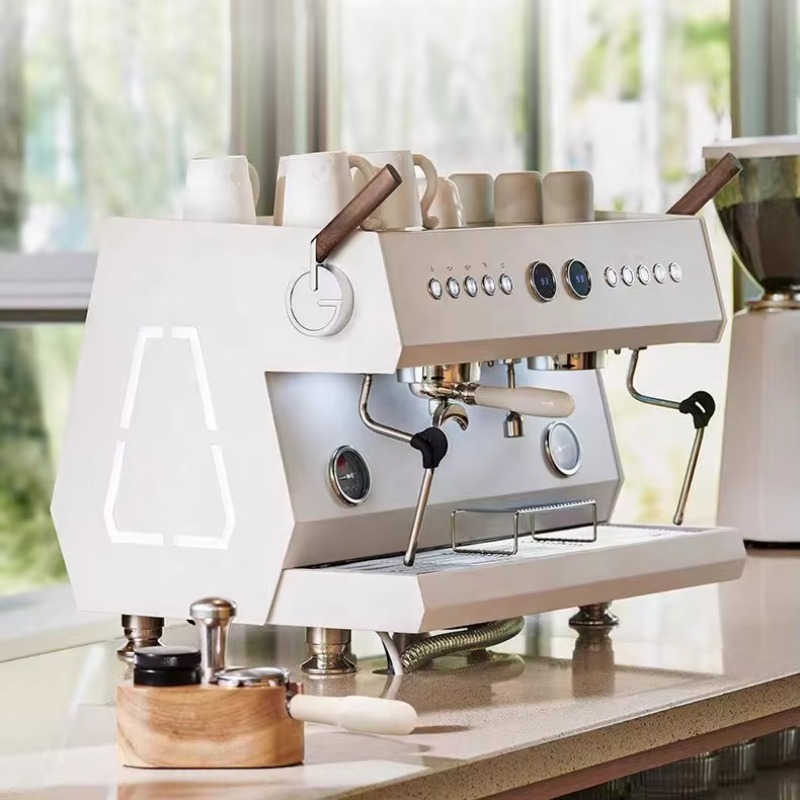 Cafetera Espresso Profesional  - Commercial Espresso Machine 2 Group reseña y precio